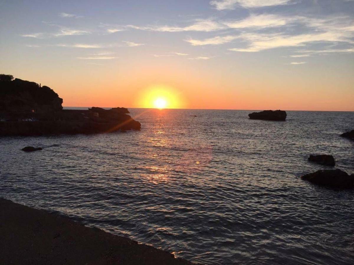 Petit Appartement Douillet Tres Bien Situe Biarritz Zewnętrze zdjęcie