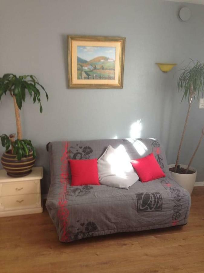 Petit Appartement Douillet Tres Bien Situe Biarritz Zewnętrze zdjęcie